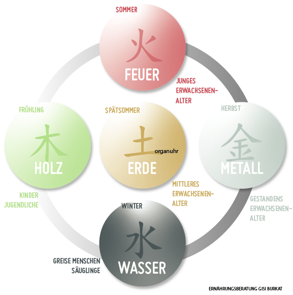 Die fünf Wandlungsphasen in der traditionellen chinesischen Medizin